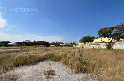 12.000 m² em pindamonhangaba, área industrial, todo murado, plano, aterrado e pavimentado.