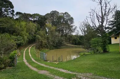 Chácara / sítio com 6 quartos à venda na rua arthur carvalho da rocha, campo largo da roseira, são josé dos pinhais por r$ 2.300.000