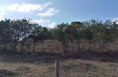 Terreno à venda na rua das rosas, 750, campina da barra, araucária, 161 m2 por r$ 99.000