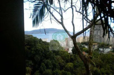 Tereeno 932,00 m2 c/ projeto arquitetônico aprovado - morro santa terezinha