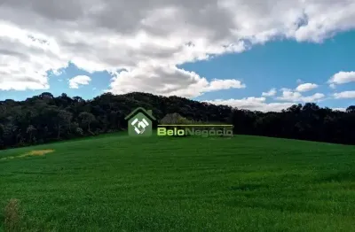 Terreno à venda na Rodovia Pr 423 Km 10, Lagoa Suja, Araucária