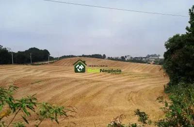 Terreno à venda na Rua Comendador Di Lucca, Palmital, Araucária