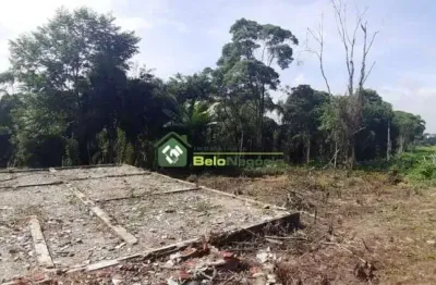 Terreno à venda na Rua Francisco Orlikoski, Thomaz Coelho, Araucária