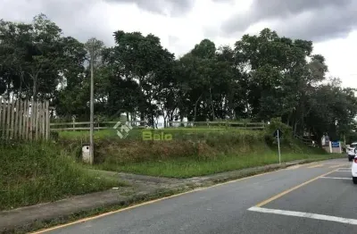 Terreno à venda na Rua Rua Paulo Alves Pinto, Centro, Araucária