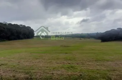 Chácara / sítio à venda na Rua Rua Theophilo Firszt, 0000, Lagoa Suja, Araucária