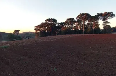 Terreno - grandes areas - rio abaixinho - araucaria