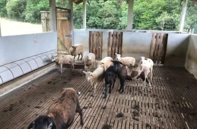 Fazenda no vila nova - zona rural com 0 quartos para venda, 129238 m²
