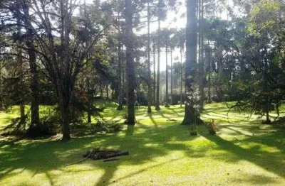 Terreno à venda na Cascatas, Campo Alegre 