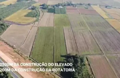 Área no escolinha com 0 quartos para venda, 128720 m²