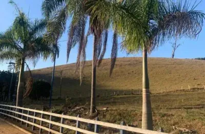 Fazenda á venda em piranguinho - mg com 32 hectares
