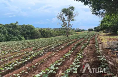 Fazenda de café produtiva – 47 alqueires em monte santo de minas