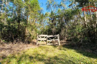 Chácara / sítio com 2 quartos à venda na Estrada Bairro Do Monte Alegre, Centro, Piedade