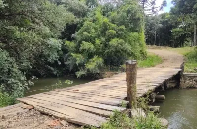 Chácara / sítio com 1 quarto à venda na rodovia br376, 00, vossoroca, tijucas do sul, 145200 m2 por r$ 250.000