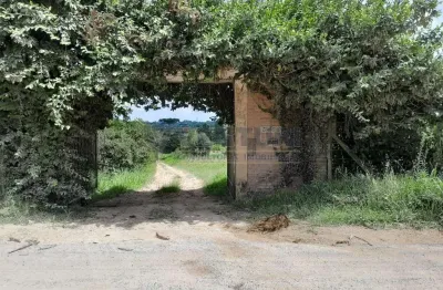 Terreno à venda na rua hermenegildo soares machado, 3468, borda do campo, são josé dos pinhais por r$ 22.217.959