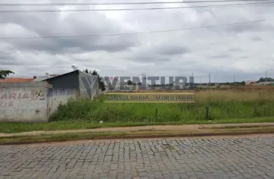 Terreno à venda na rua laerte fenelon, 886, ipê, são josé dos pinhais, 4461 m2 por r$ 4.461.000