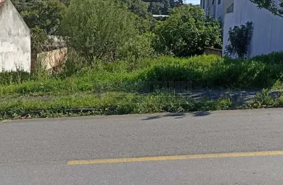 Terreno à venda na rua jossei toda, 147, roseira de são sebastião, são josé dos pinhais por r$ 170.000