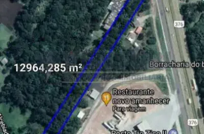 Terreno à venda na rodovia br-376, 624, campo largo da roseira, são josé dos pinhais por r$ 1.390.000