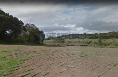 Terreno à venda na rua alcebíades da cruz, 00, campo largo da roseira, são josé dos pinhais, 424105 m2 por r$ 17.000.000