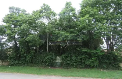 Terreno à venda na avenida alzira berton pauletto, 1185, del rey, são josé dos pinhais por r$ 410.000
