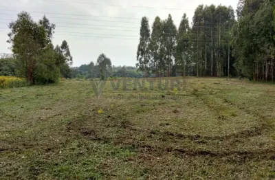 Terreno à venda na rua pedro buhrer, 01, campo largo da roseira, são josé dos pinhais, 100 m2 por r$ 1.800.000