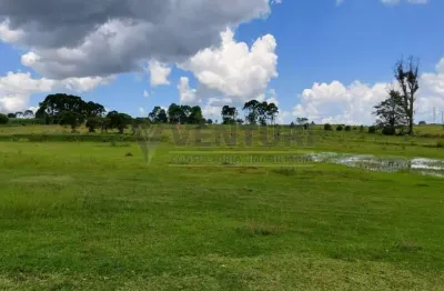 Terreno à venda na avenida vereador domingos benvenuto moletta, 00, campo largo da roseira, são josé dos pinhais por r$ 3.580.000