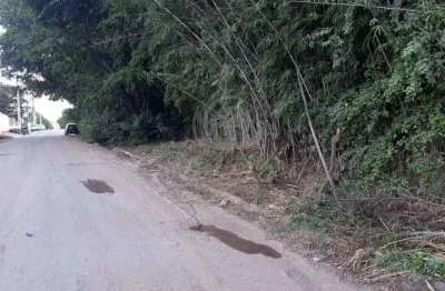 Fazenda à venda na Rua Manoel Joaquim Filho, Santa Terezinha, Paulínia