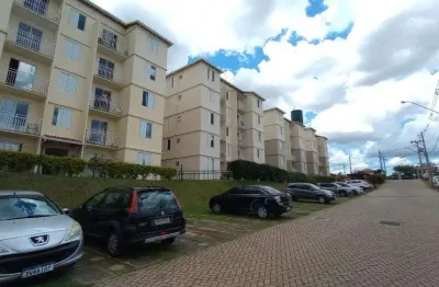 Apartamento à venda e para alugar em campinas, vila marieta, com 3 quartos, com 52 m²