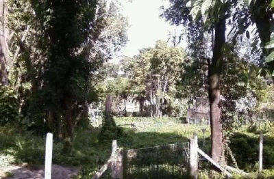 Terreno à venda na Rua Francisco Xavier de Sousa Júnior, 77, Jardim das Paineiras, Campinas