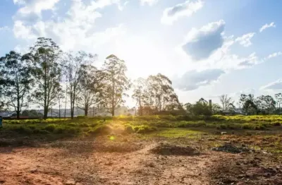 Terreno à venda e para alugar em são bernardo do campo, cooperativa