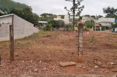 Terreno comercial à venda na Rua Frederico Bugim, 490, Jardim São Luiz, Valinhos