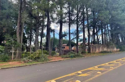 Terreno comercial à venda na Rua Padre Domingos Giovanini, 480, Parque Taquaral, Campinas