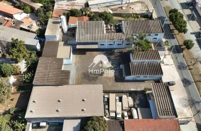Galpão à venda e para alugar em paulínia, vila josé paulino nogueira, com 3065.85 m²