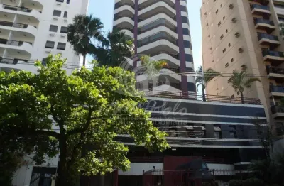 Apartamento a venda com fino acabamento no jardim paraíso - campinas/sp