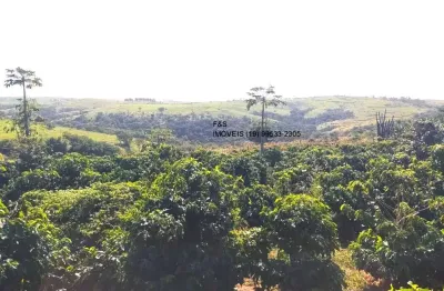 Chácara / sítio com 3 quartos à venda na Avenida Antonio Ignácio Pupo, s/n, Carlos Gomes, Campinas