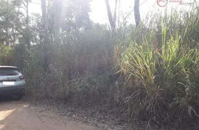 Terreno à venda na Alameda dos Pinheiros, 180, Santa Inês, Mairiporã