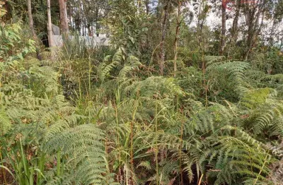 Terreno à venda na Alameda dos Pinheiros, 180, Santa Inês, Mairiporã