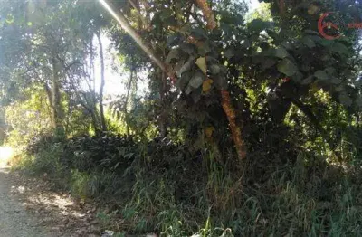 Terreno à venda na Alameda dos Pinheiros, 180, Alpes de Mairiporã, Mairiporã