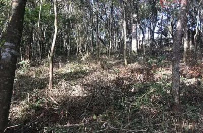 Terreno em condomínio a venda jardim cinco lagos mairiporã