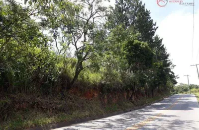 Terreno à venda na Alameda dos Pinheiros, 180, Roseira, Mairiporã