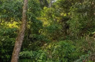 Terreno à venda na Alameda dos Pinheiros, 180, Santa Inês, Mairiporã