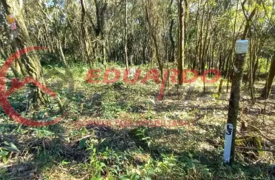 Terreno à venda na Alameda dos Pinheiros, 180, Mato Dentro, Mairiporã