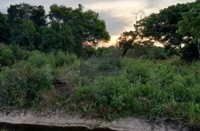 Espaço privilegiado de 300m² à venda em itanhaém-sp, no bairro grandesp!