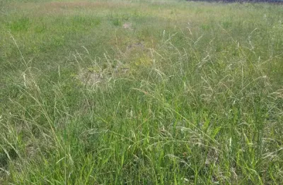 Excelente terreno 3.622m2 - próximo a br470 - divisa com blumenau