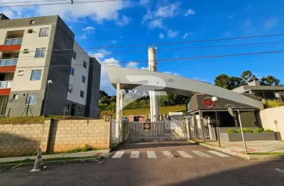 Apartamento com 2 quartos para alugar no Jardim Bela Vista, Campo Largo 