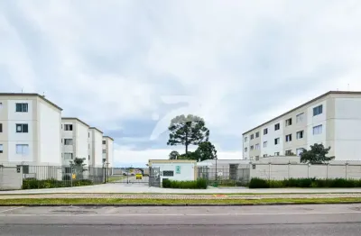 Apartamento com 2 quartos para alugar na Rua Dolovico Pissaia, 840, Afonso Pena, São José dos Pinhais