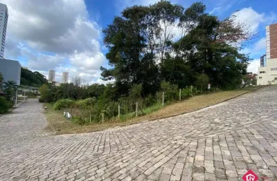 Terreno à venda na Rua Luiz Pezzi, 18, Panazzolo, Caxias do Sul