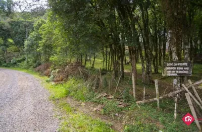 Terreno à venda na avenida capivari, 9, jardim eldorado, caxias do sul por r$ 553.000