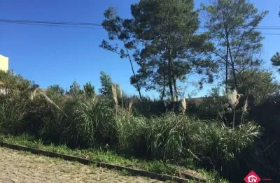 Terreno à venda na rua joão antônio de mattos, 320, salgado filho, caxias do sul por r$ 180.000