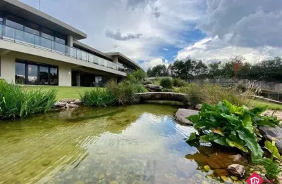 Terreno para venda - 717.67m², 0 dormitórios, pedancino