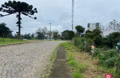 Terreno à venda na rua celestino deitos, 150, desvio rizzo, caxias do sul por r$ 349.000